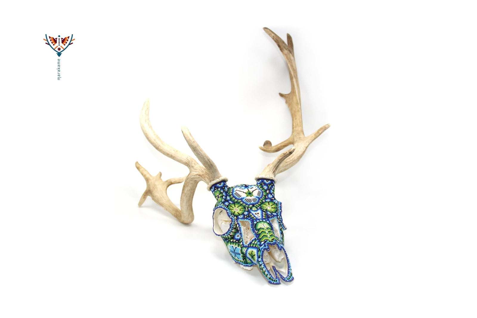 Cráneo de Gamo Blanco - Maxa tewi-yari - Arte Huichol - Marakame