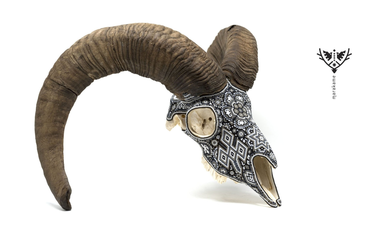 Cráneo de Mouflon Huichol -&quot;Ratinamieni I&quot; - Arte Huichol - Marakame