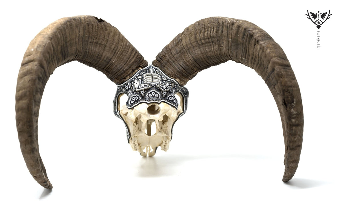 Cráneo de Mouflon Huichol -&quot;Ratinamieni I&quot; - Arte Huichol - Marakame