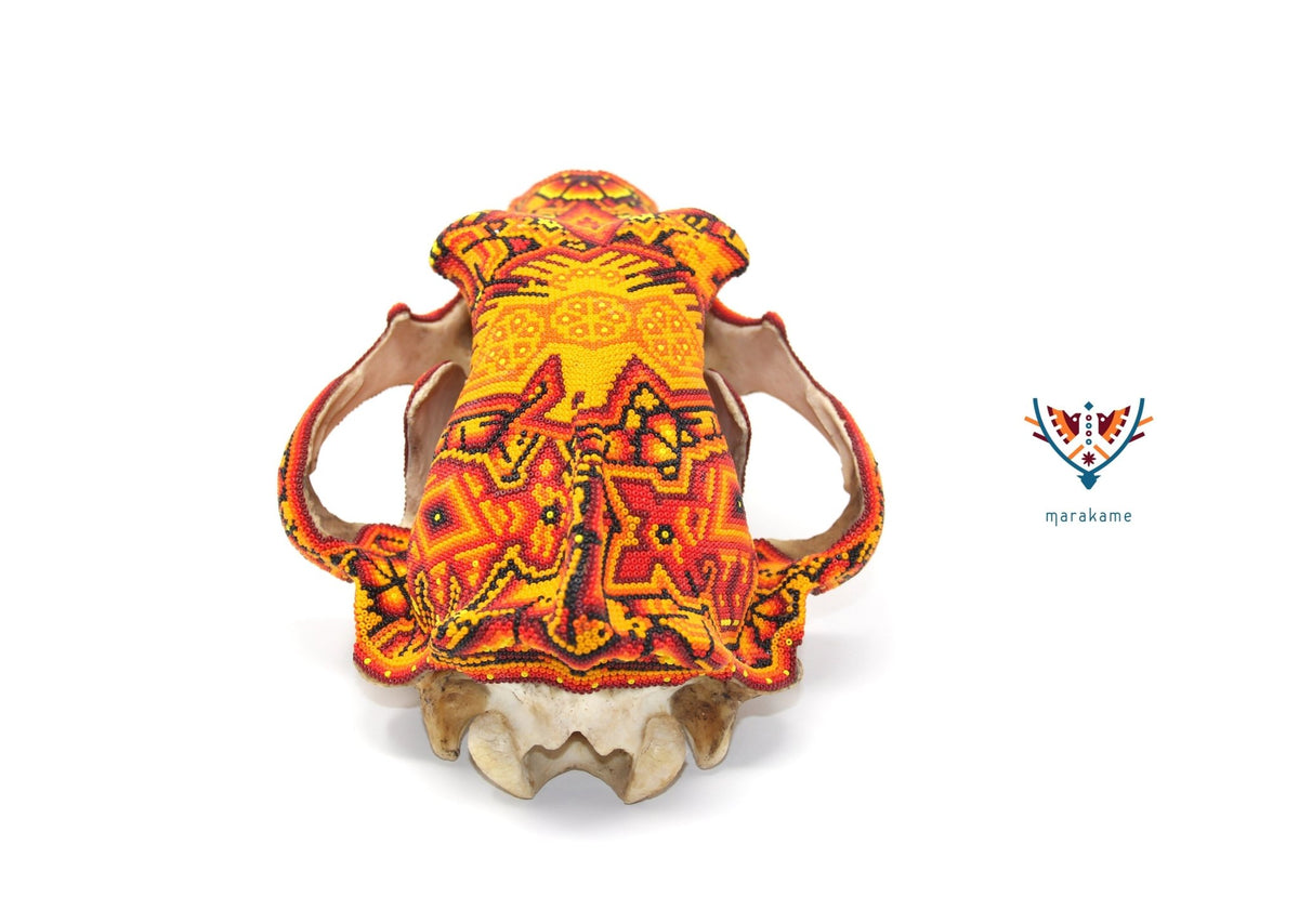 Cráneo de Oso Gigante -&quot;Rhotze Tatewari&quot; - Arte Huichol - Marakame