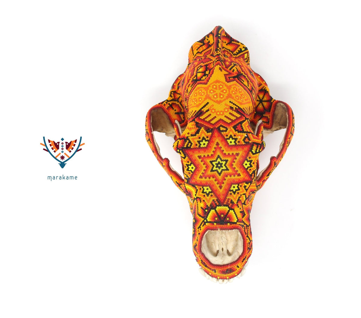 Cráneo de Oso Gigante -&quot;Rhotze Tatewari&quot; - Arte Huichol - Marakame