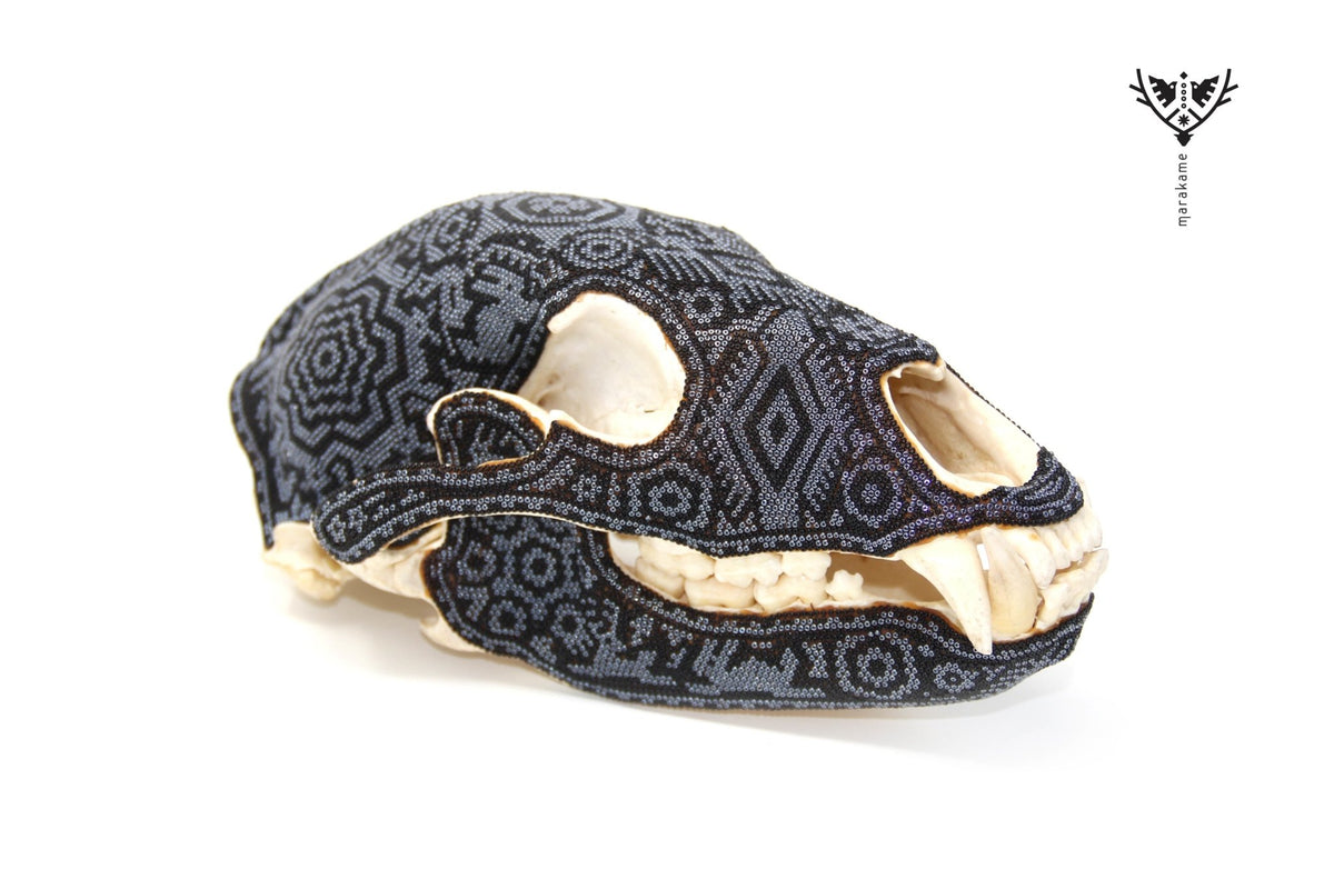 Cráneo de Oso -&quot;Hauxamanaka I&quot; - Arte Huichol - Marakame
