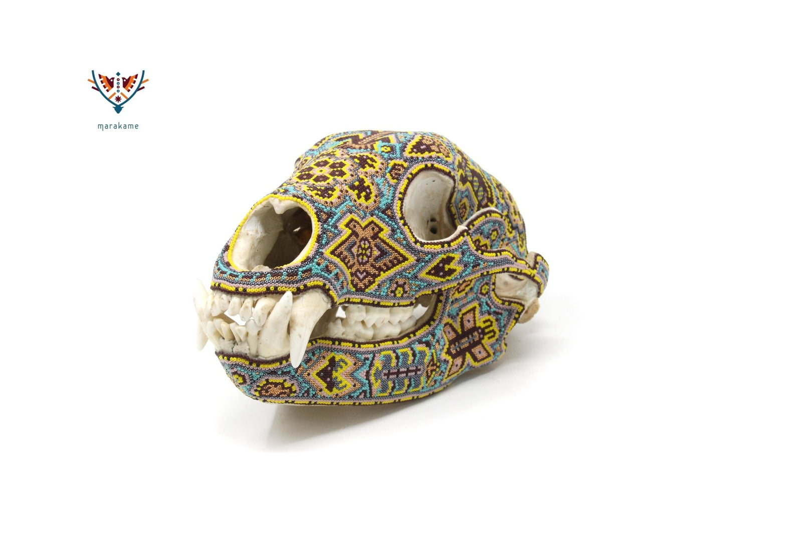 Cráneo de oso Huichol -"Rhotze k+pi" - Arte Huichol - Marakame