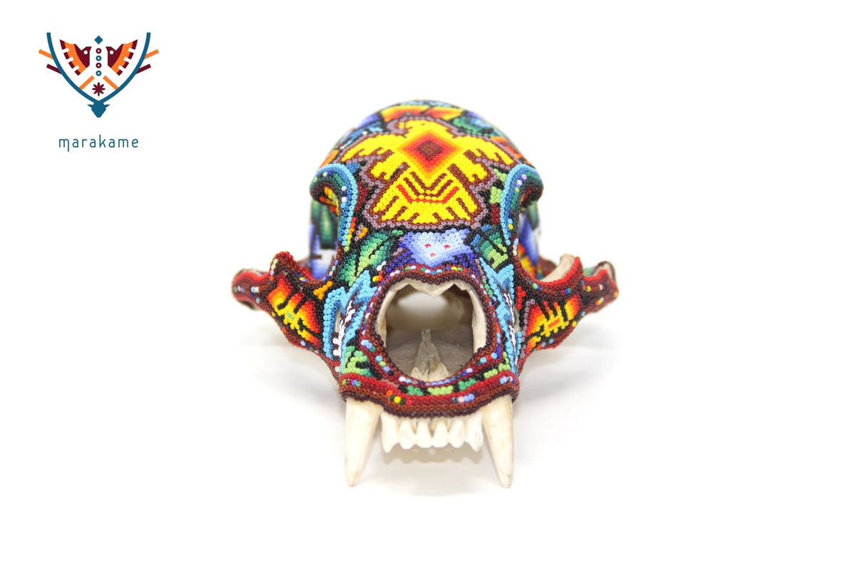 Cráneo de oso Huichol -&quot;Werika Rhotze&quot; - Arte Huichol - Marakame