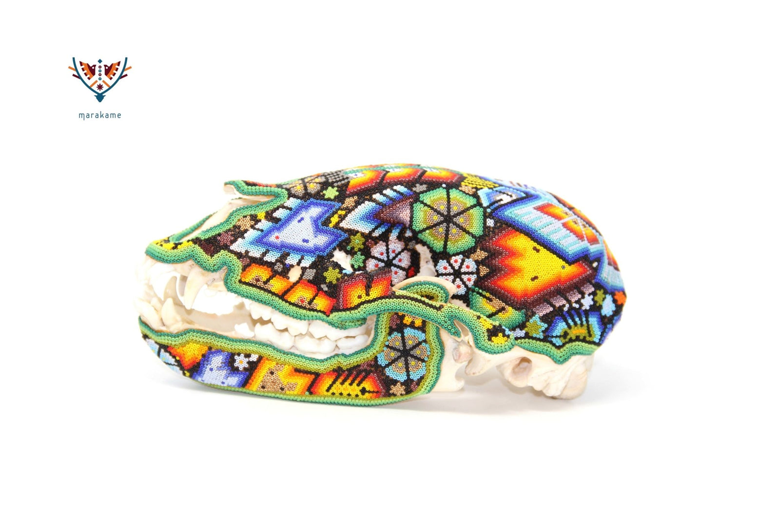 Cráneo de Oso -"Tuutú Rhotze" - Arte Huichol - Marakame