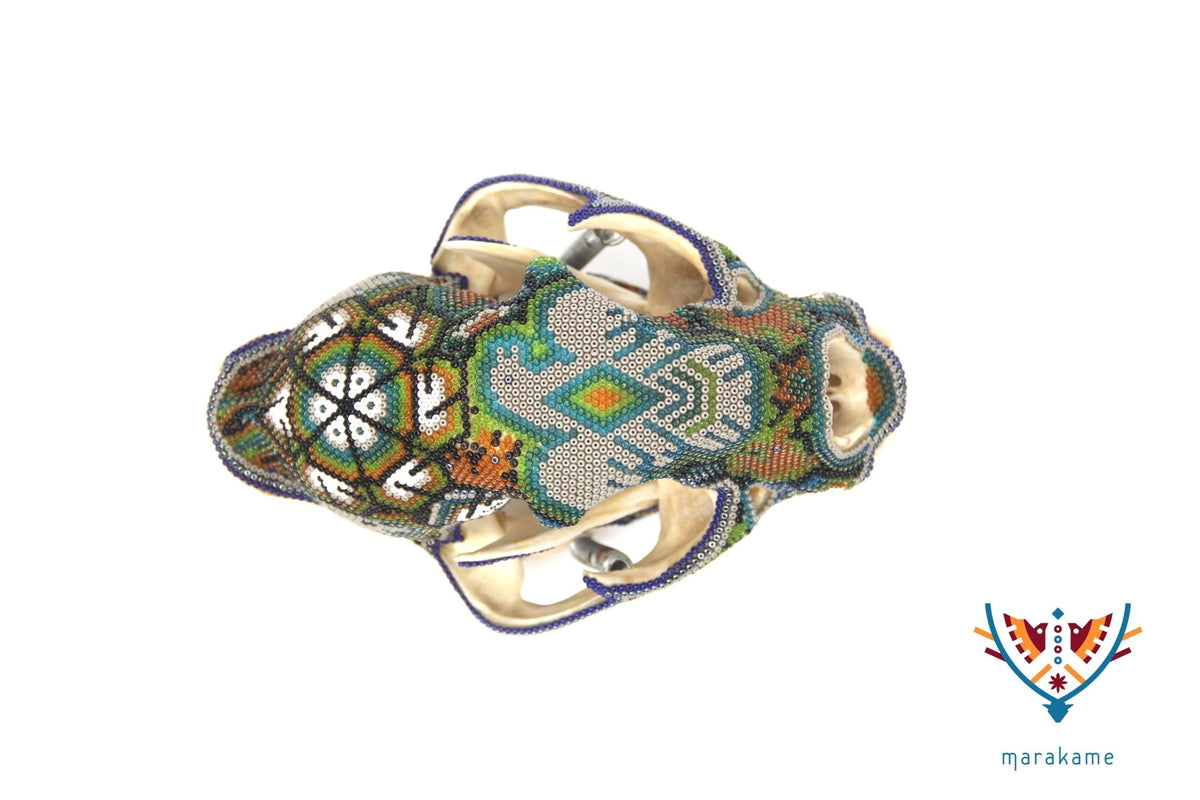 Cráneo de puma Huichol -&quot;Werikateime&quot; - Arte Huichol - Marakame