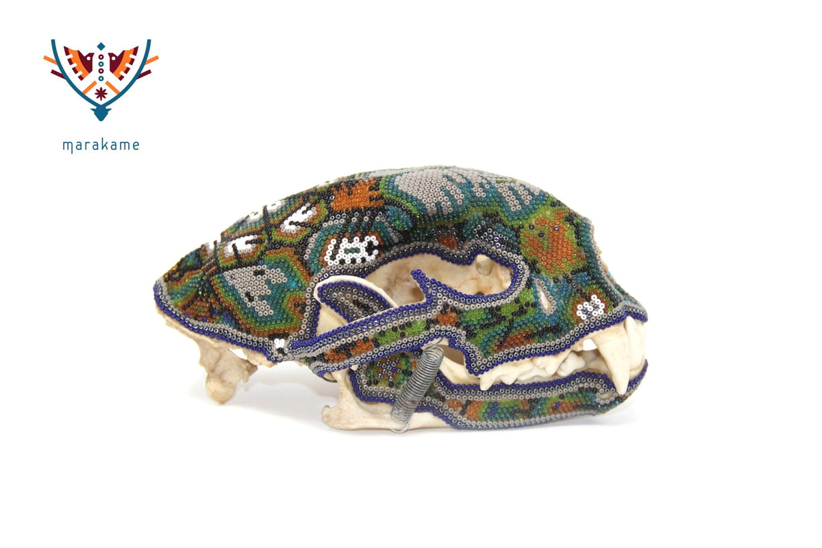 Cráneo de puma Huichol -&quot;Werikateime&quot; - Arte Huichol - Marakame