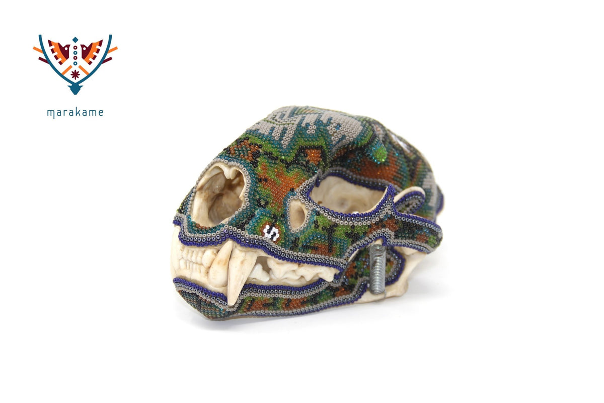 Cráneo de puma Huichol -&quot;Werikateime&quot; - Arte Huichol - Marakame
