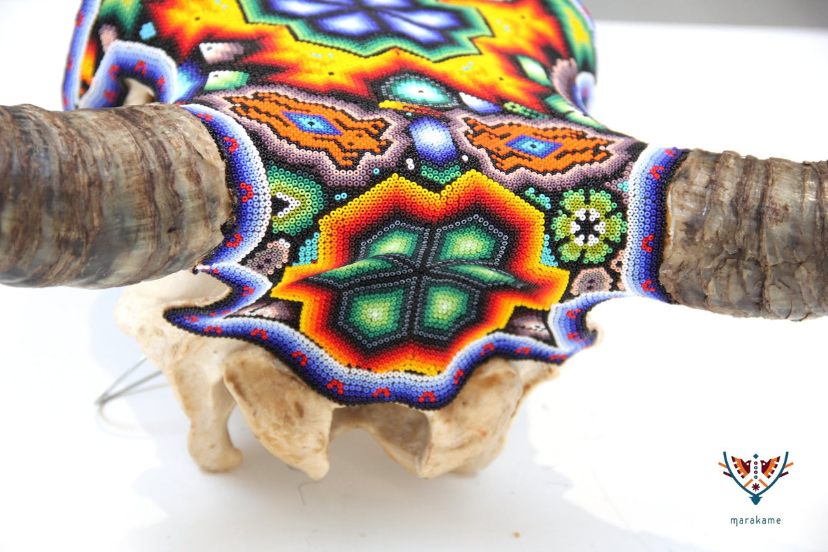 Cráneo de vaca Arte Huichol - Hikuri II - Arte Huichol - Marakame