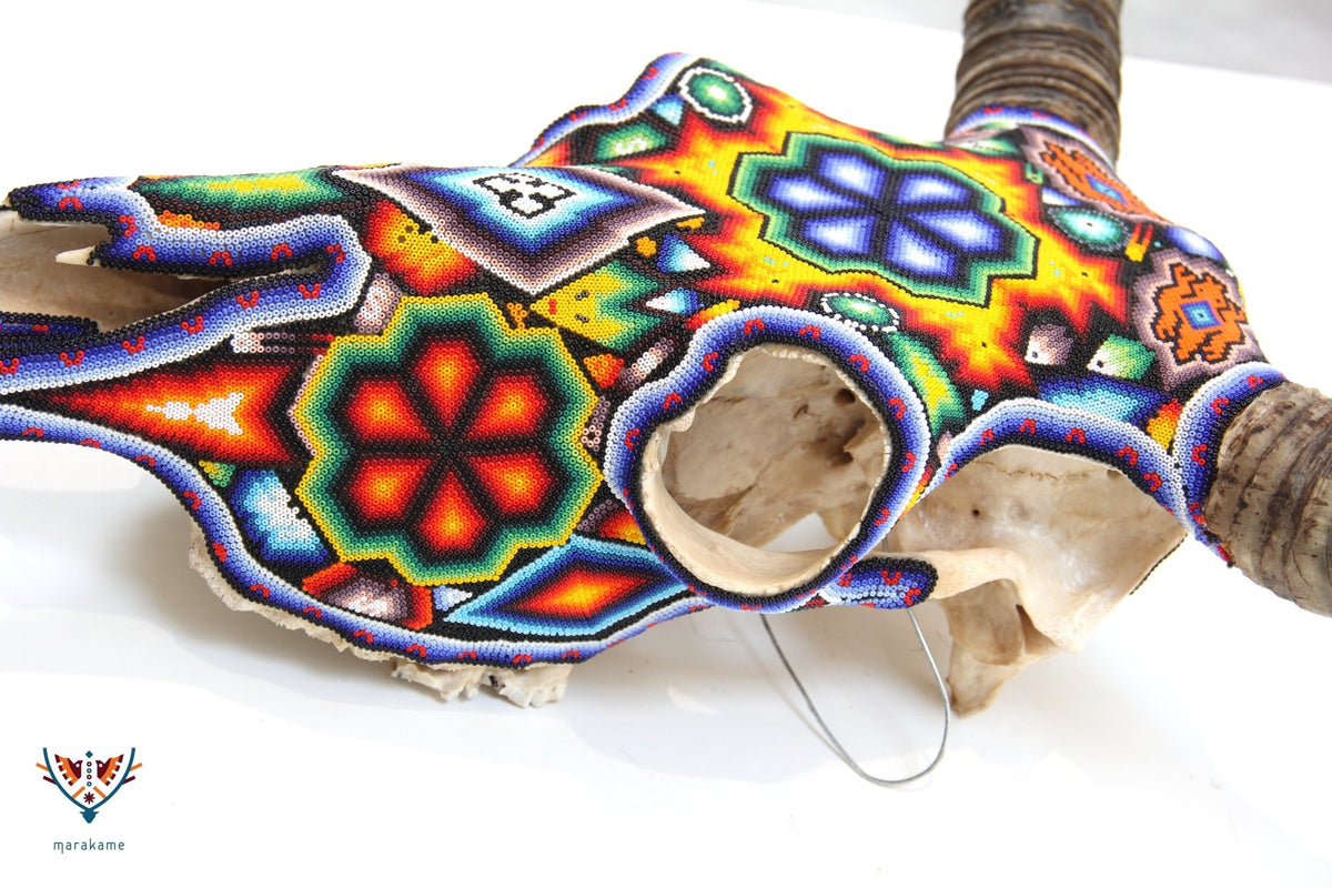 Cráneo de vaca Arte Huichol - Hikuri II - Arte Huichol - Marakame