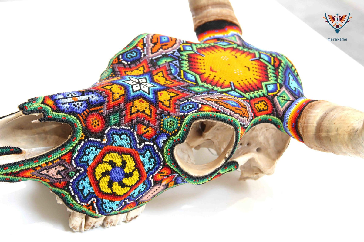 Cráneo de vaca Arte Huichol - Hikuri V - Arte Huichol - Marakame
