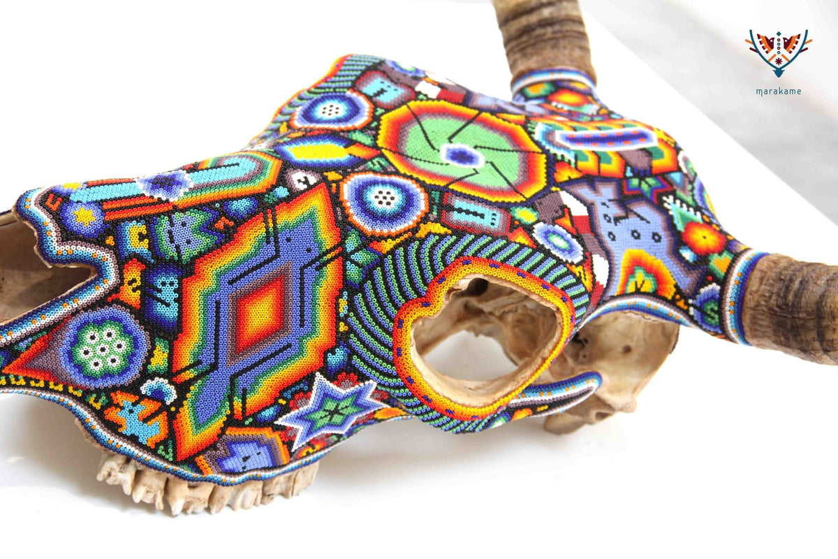 Cráneo de vaca Arte Huichol - Hikuri VII - Arte Huichol - Marakame