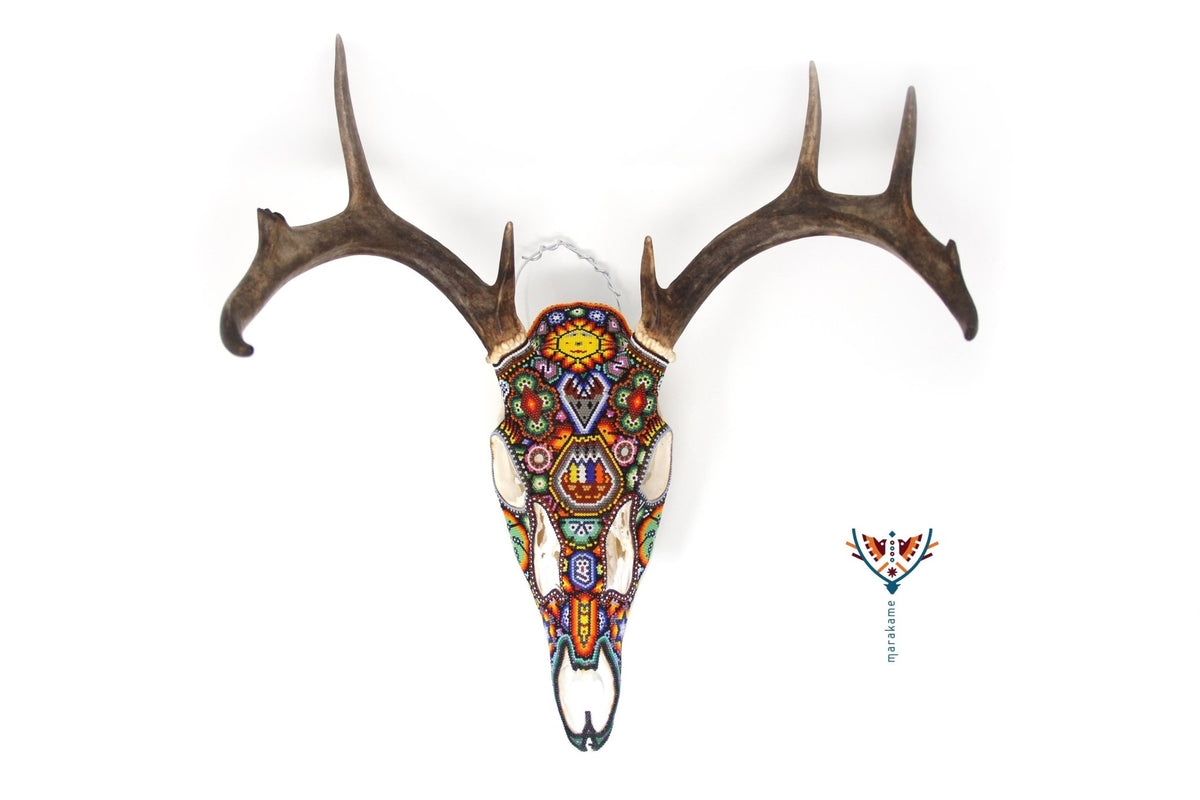Cráneo de Venado Huichol -&quot;Canári&quot; - Arte Huichol - Marakame