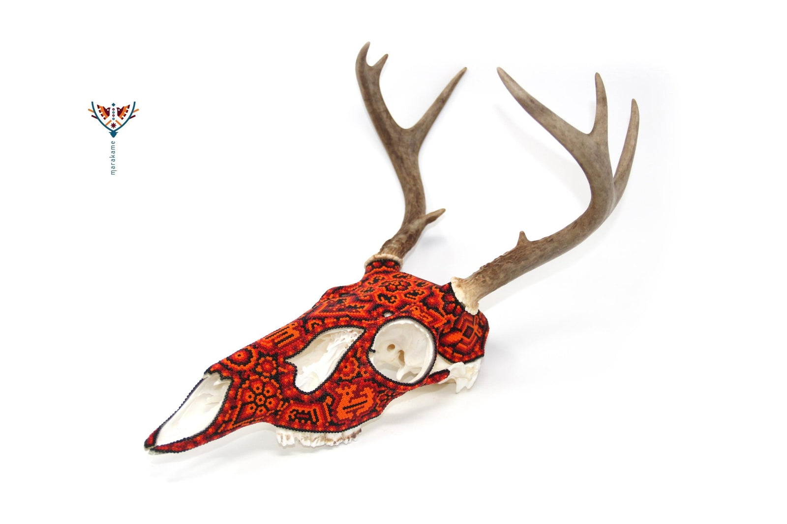 Cráneo de Venado Huichol -"Ciyé" - Arte Huichol - Marakame