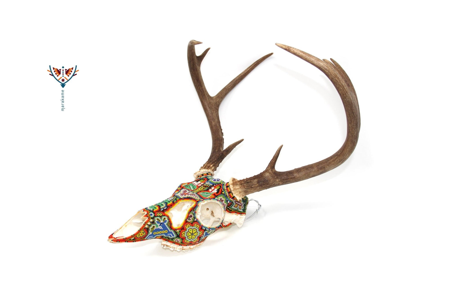 Cráneo de Venado Huichol -"Hasí" - Arte Huichol - Marakame