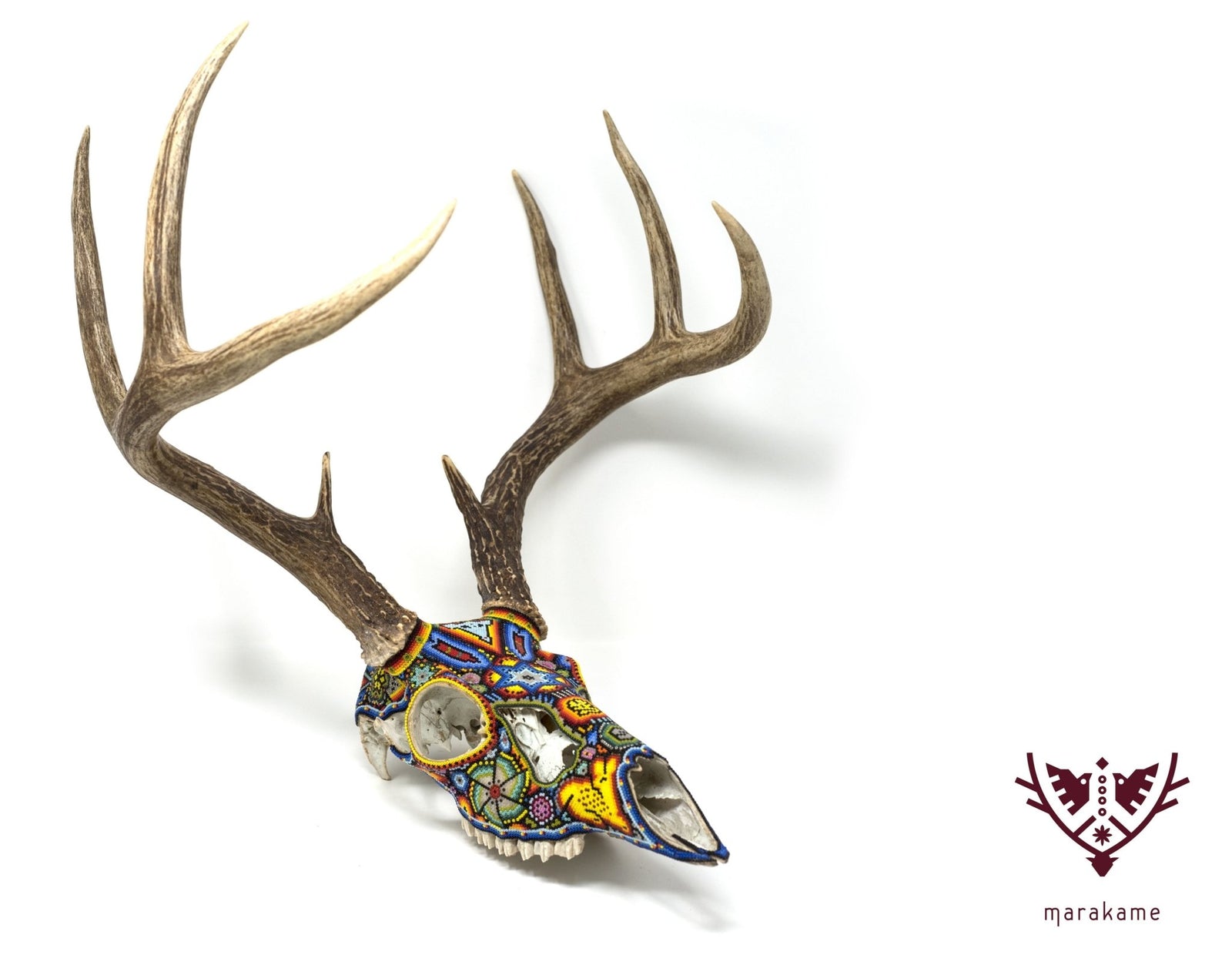 Cráneo de Venado Huichol -"Kauyumarie" - Arte Huichol - Marakame
