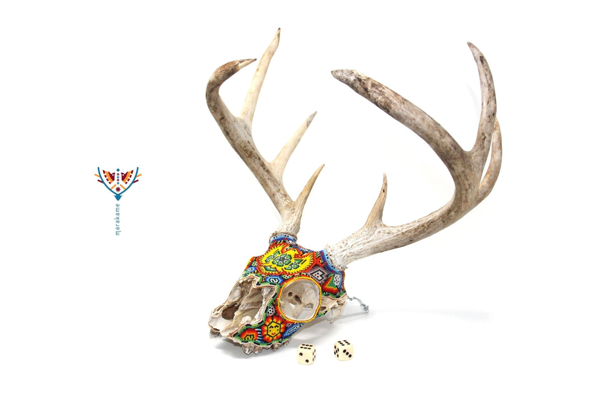 Cráneo de Venado Huichol -&quot;Maxa Aztlan&quot; - Arte Huichol - Marakame