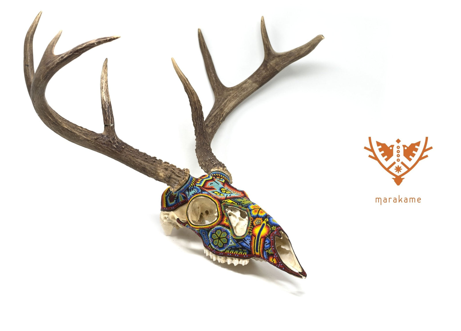 Cráneo de Venado Huichol -"Xixiweri" - Arte Huichol - Marakame