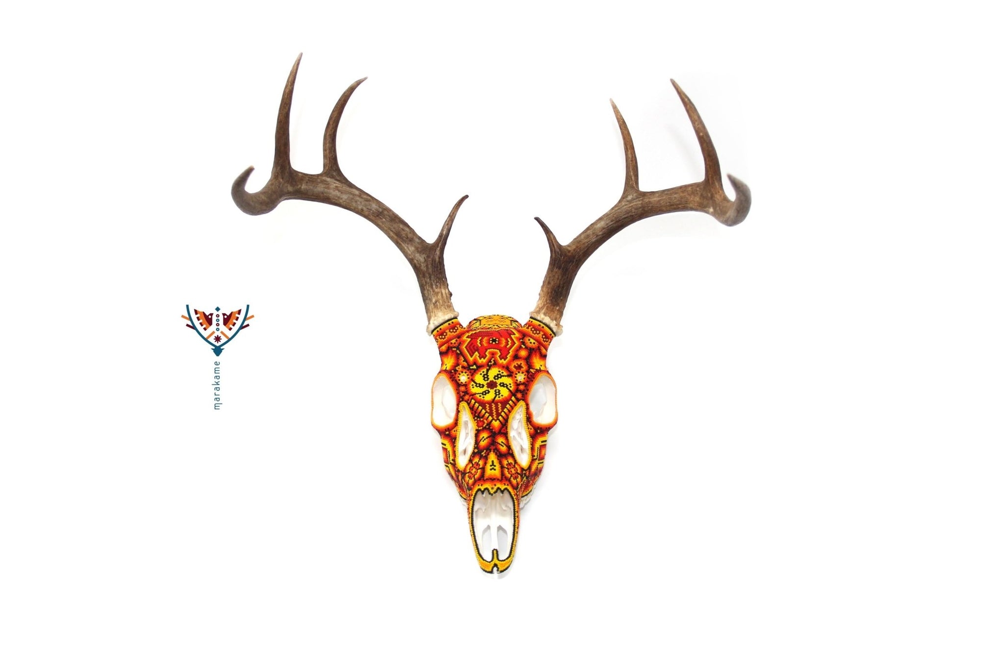 Cráneo de Venado Huichol -"Xunuri" - Arte Huichol - Marakame