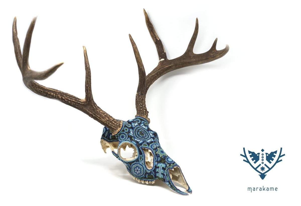 Cráneo de Venado Huichol -&quot;Yurienaka&quot; - Arte Huichol - Marakame