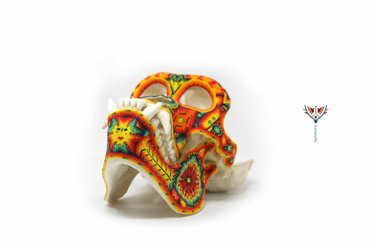 Cráneo Hiperrealista de Gorila escala real &quot;Watakame&quot; - contact for price - Arte Huichol - Marakame