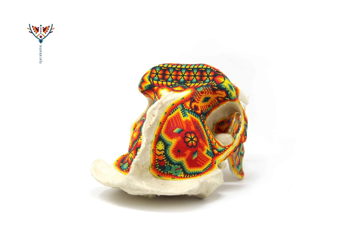 Cráneo Hiperrealista de Gorila escala real &quot;Watakame&quot; - contact for price - Arte Huichol - Marakame