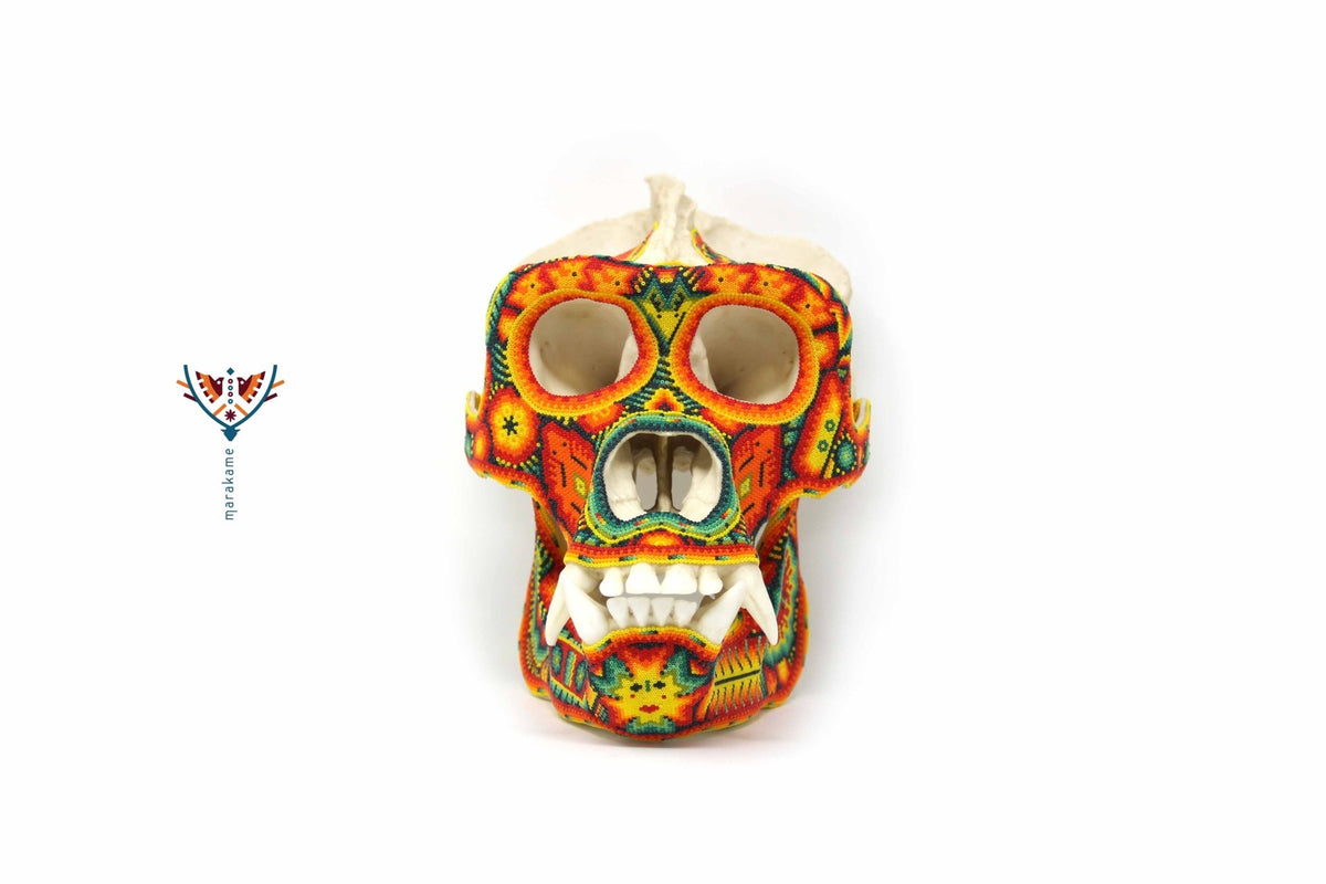 Cráneo Hiperrealista de Gorila escala real &quot;Watakame&quot; - contact for price - Arte Huichol - Marakame