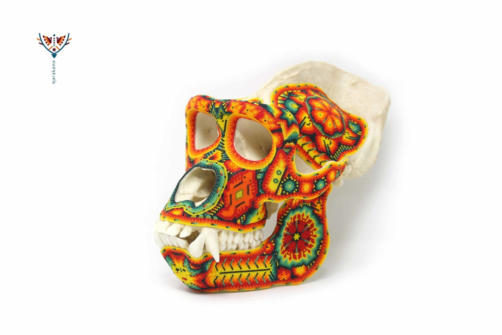 Cráneo Hiperrealista de Gorila escala real "Watakame" - contact for price - Arte Huichol - Marakame
