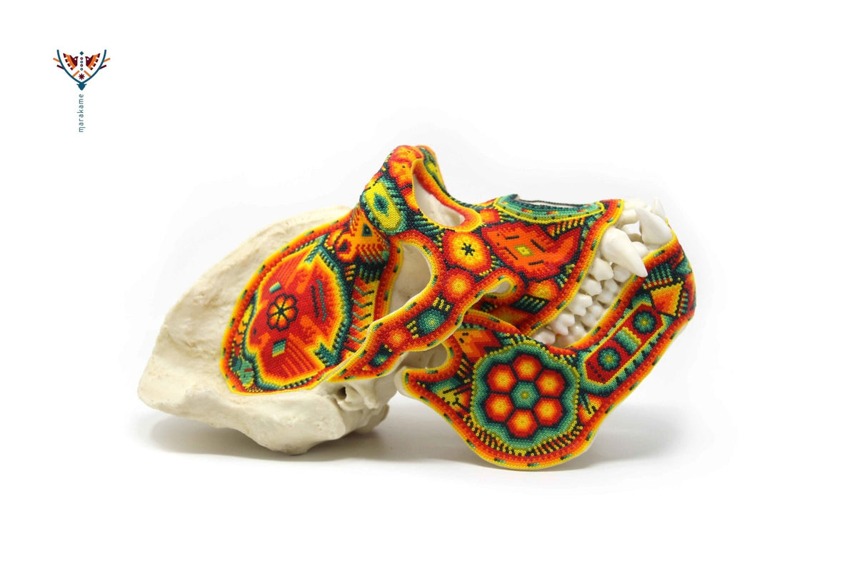 Cráneo Hiperrealista de Gorila escala real &quot;Watakame&quot; - contact for price - Arte Huichol - Marakame