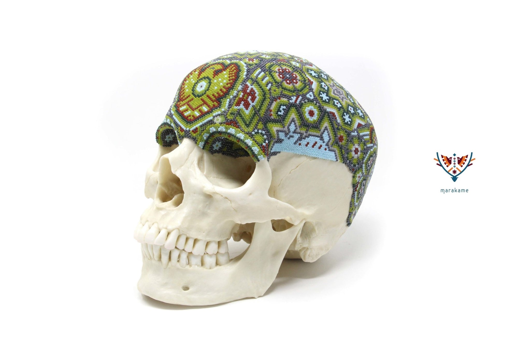 Cráneo Hiperrealista de Humano escala real "Hauxamanaka" - Arte Huichol - Marakame