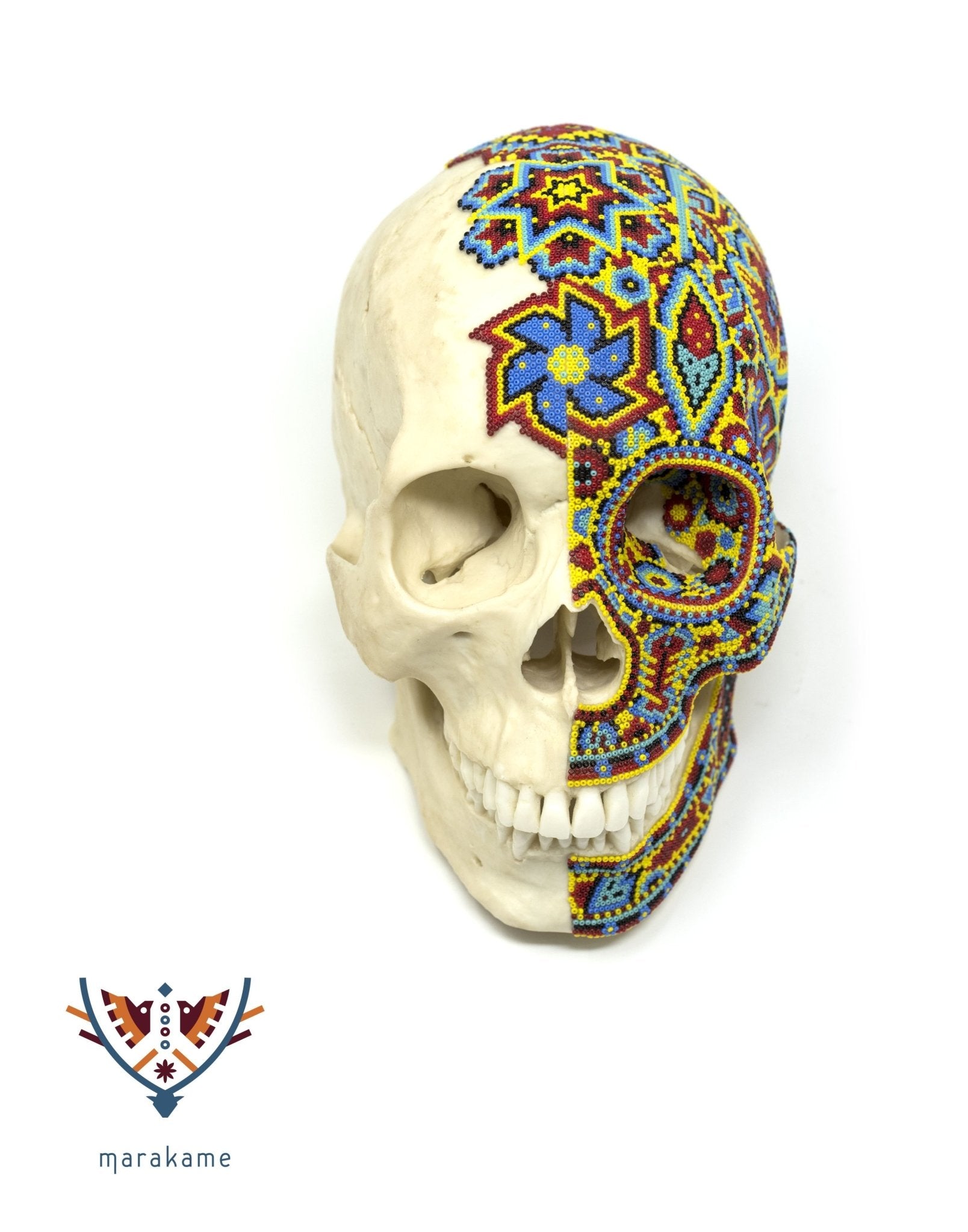 Cráneo Hiperrealista de Humano escala real "Wirikuta" - Arte Huichol - Marakame