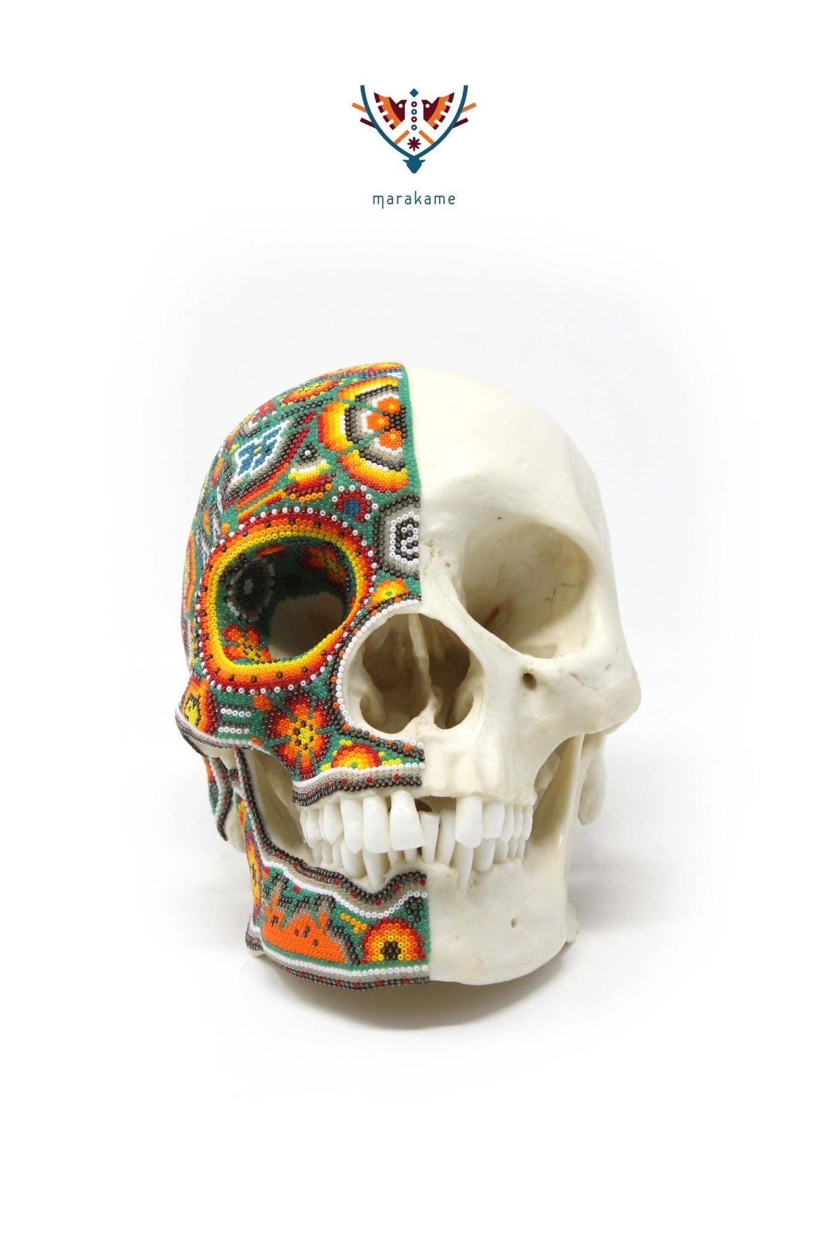 Cráneo Hiperrealista de Humano escala real &quot;Xapawiyemeta&quot; - Arte Huichol - Marakame