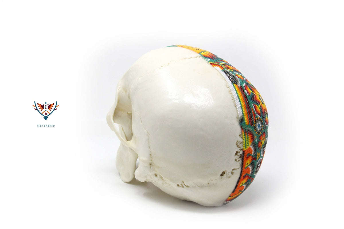 Cráneo Hiperrealista de Humano escala real &quot;Xapawiyemeta&quot; - Arte Huichol - Marakame