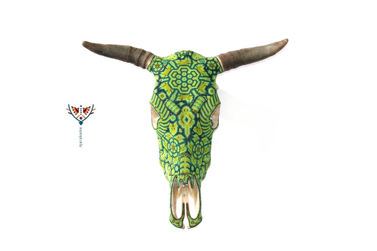 Cráneo Huichol - Haríenaca - Arte Huichol - Marakame