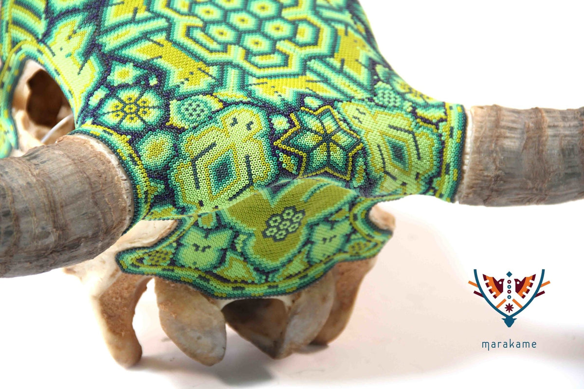 Cráneo Huichol - Haríenaca - Arte Huichol - Marakame