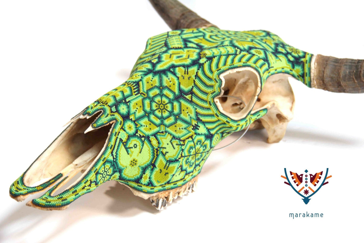 Cráneo Huichol - Haríenaca - Arte Huichol - Marakame