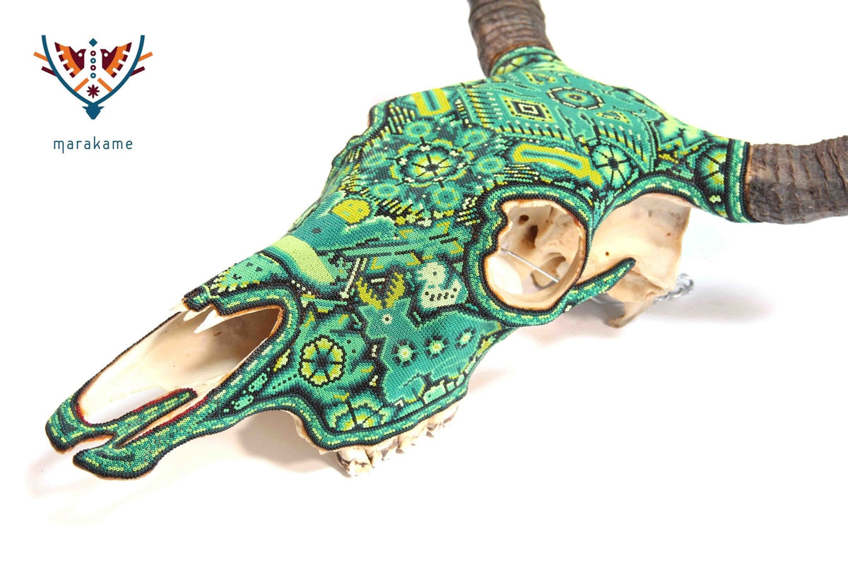 Cráneo Huichol - Hikuri Tewayari II - Arte Huichol - Marakame