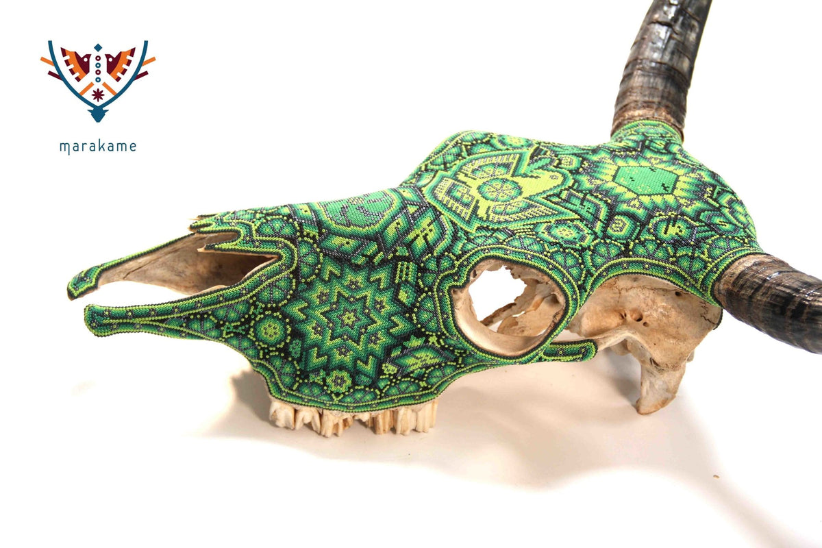 Cráneo Huichol - Neakaxa IV - Arte Huichol - Marakame