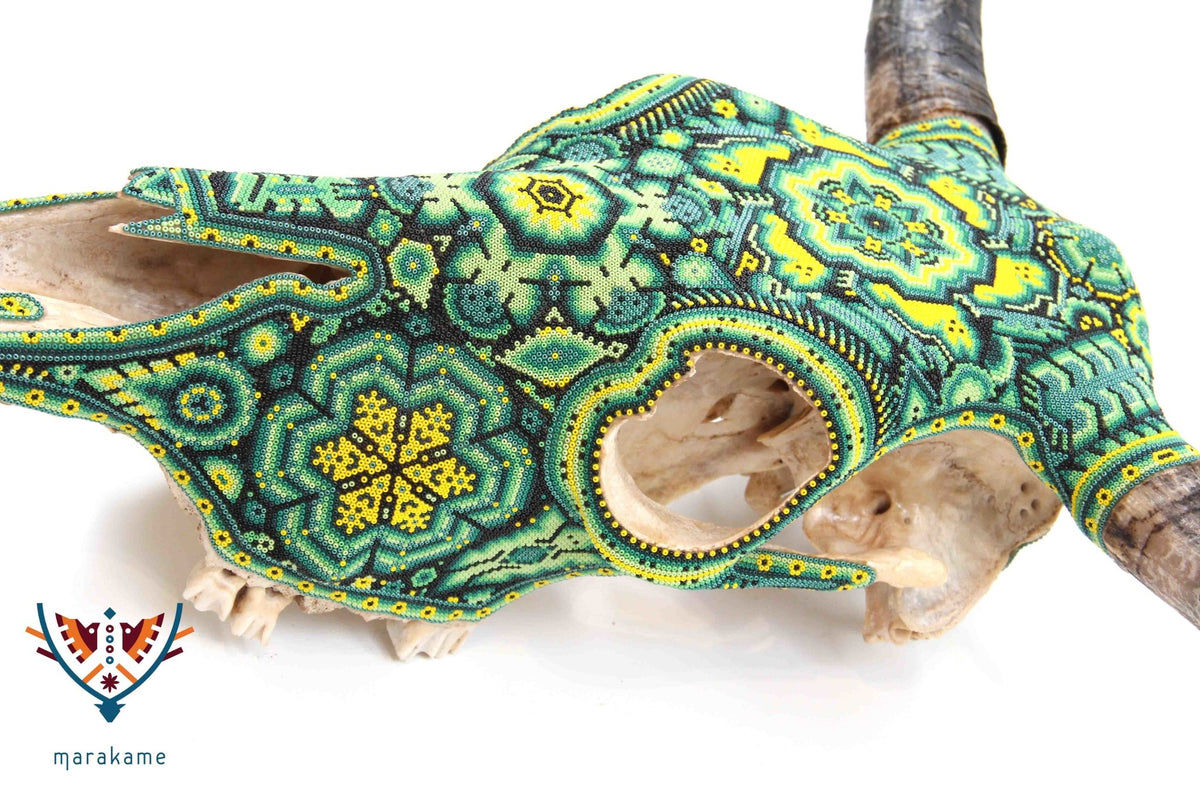 Cráneo Huichol - Ratinamieni V - Arte Huichol - Marakame