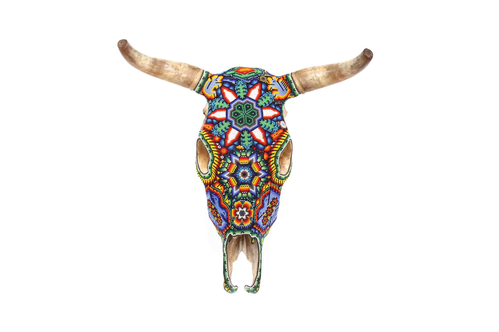 Cráneo Huichol - Ratinamieni VI - Arte Huichol - Marakame