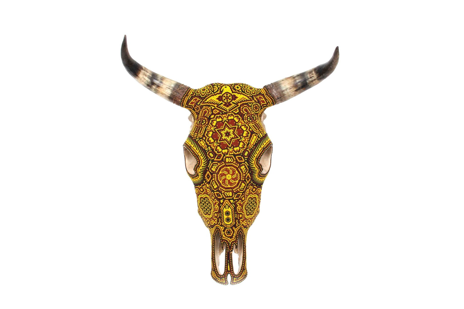 Cráneo Huichol - Tuinurite II - Arte Huichol - Marakame