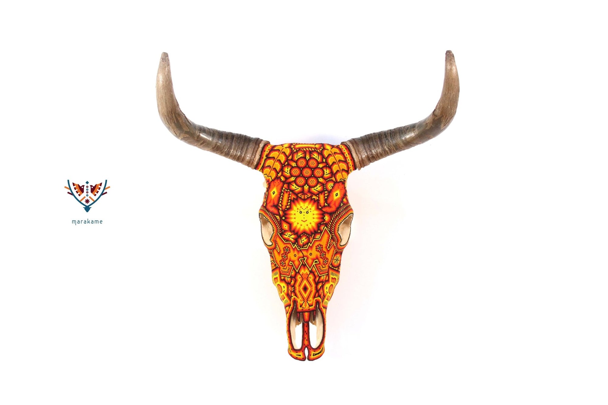 Cráneo Huichol - Tuutú Xawe III - Arte Huichol - Marakame