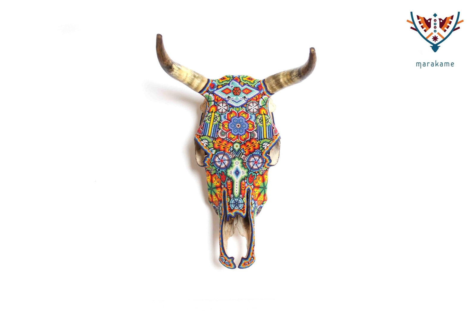 Cráneo Huichol - Werika yuawi I - Arte Huichol - Marakame